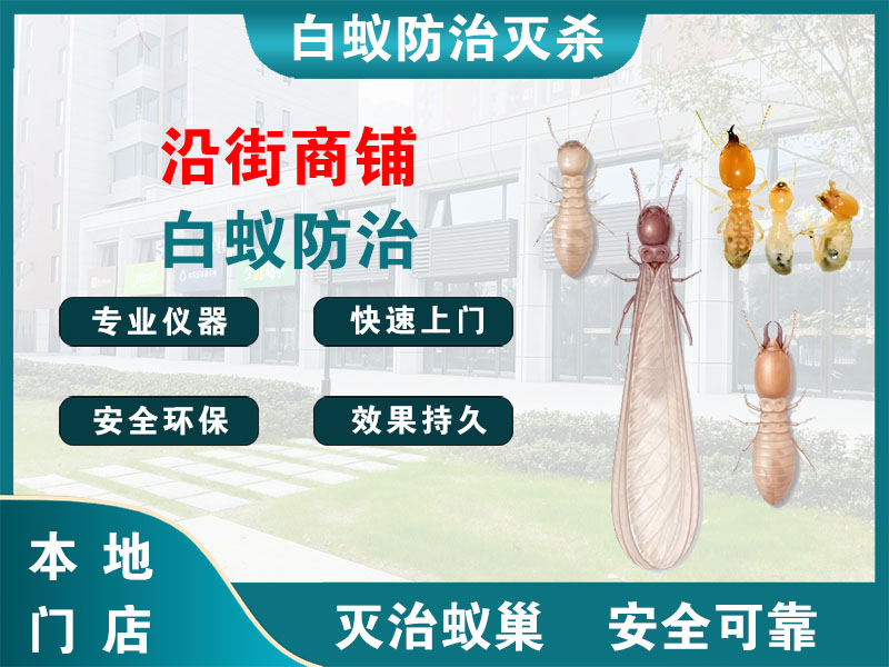 椒江区沿街商铺白蚁防治