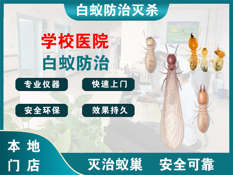 椒江区学校医院白蚁防治