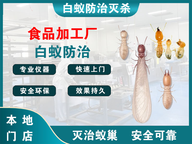 椒江区食品加工厂白蚁防治
