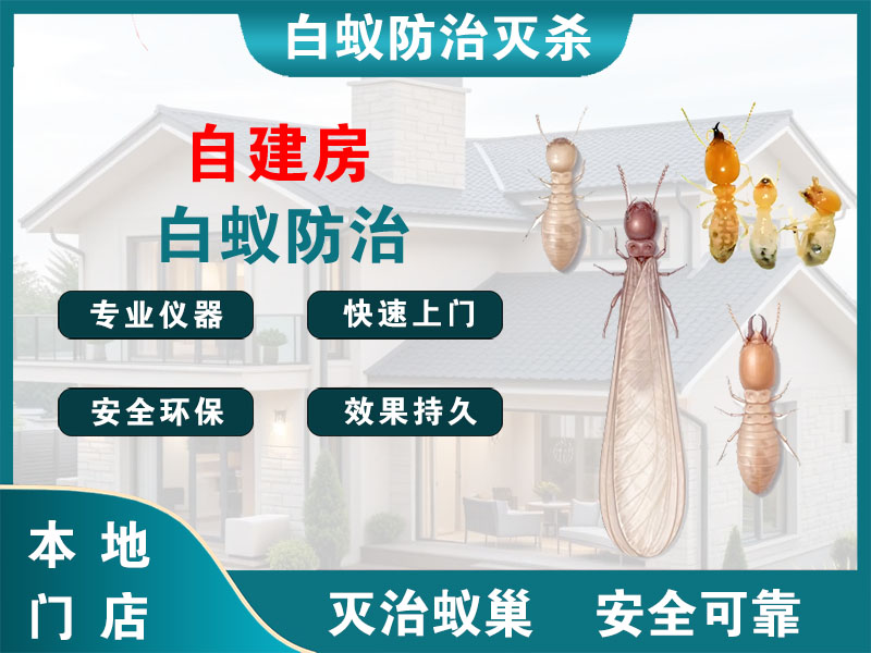 椒江区自建房白蚁防治