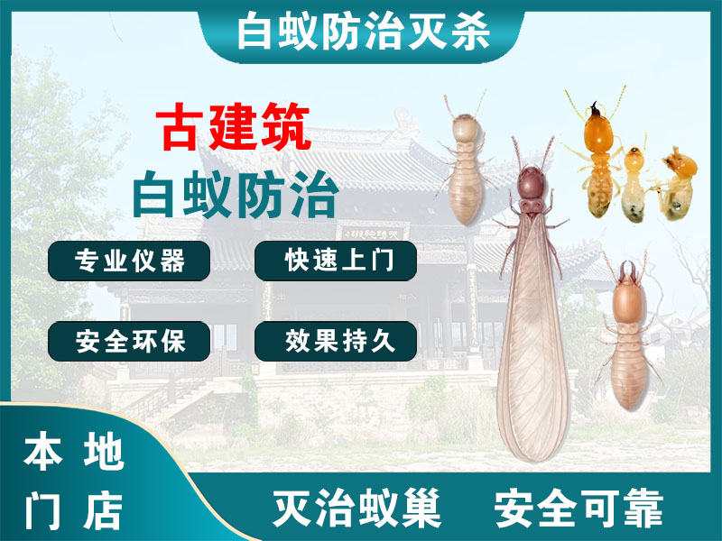 椒江区古建筑白蚁防治