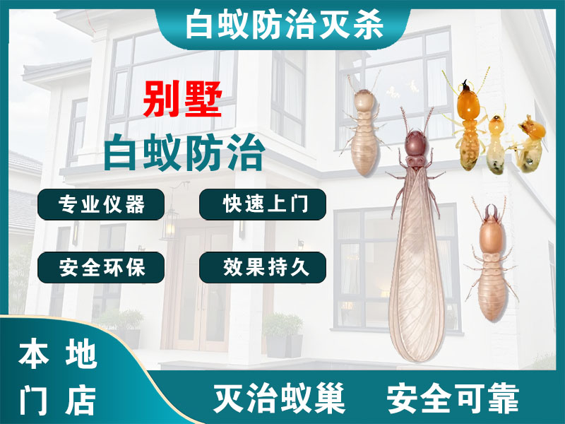 椒江区别墅白蚁防治