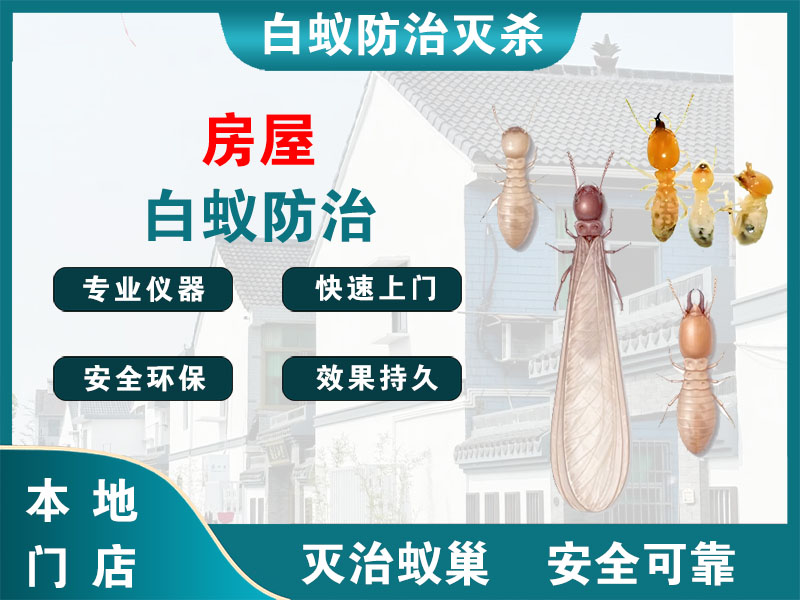 椒江区房屋白蚁防治